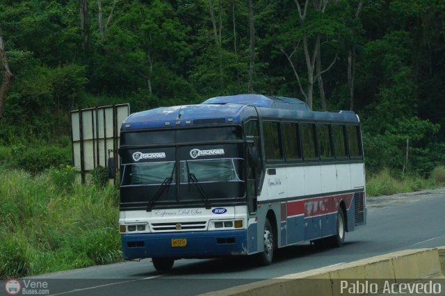 Expresos Del Sur 2029 por Pablo Acevedo