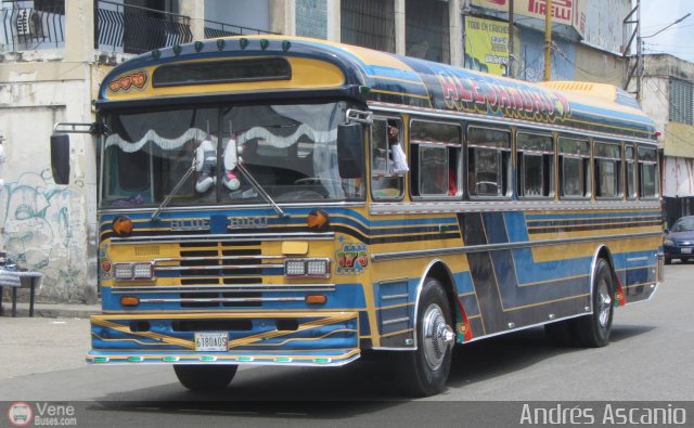 Transporte Guacara 0176 por Andr�s Ascanio