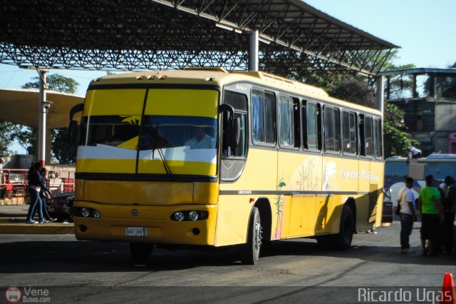 Expresos Maturín 115 por Ricardo Ugas