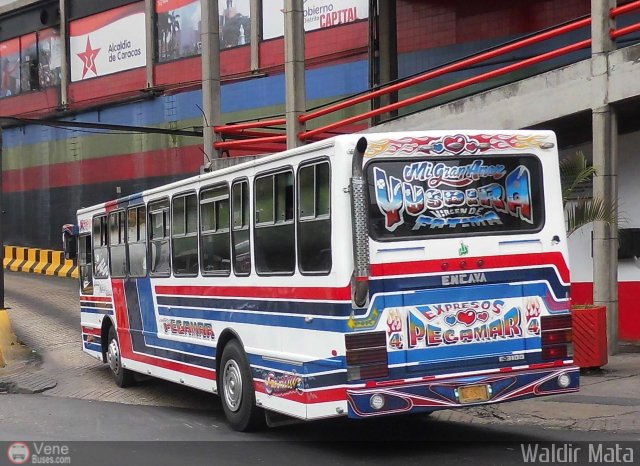 Expresos Pegamar 0004 por Waldir Mata