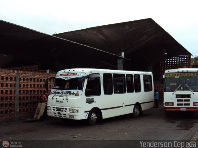 A.C. Expresos Barinas 050 por Yenderson Cepeda