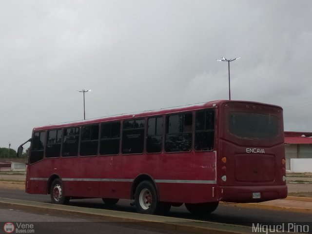 Particular o Desconocido 062 por Miguel Pino