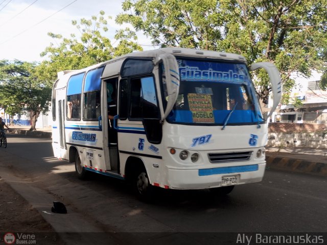 Transporte Guasimales S.A. 797 por Aly Baranauskas