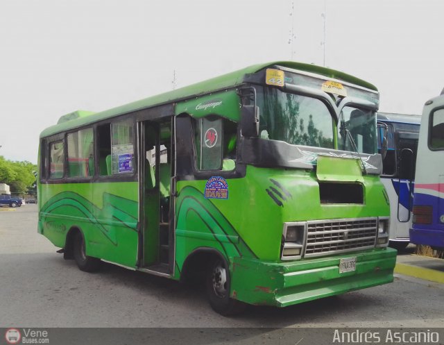 CA - Unin Caribe C.A. 42 por Andrs Ascanio