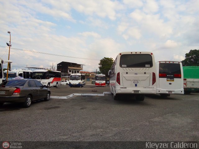 Garajes Paradas y Terminales El-Vigia por Kleyzer Calder�n