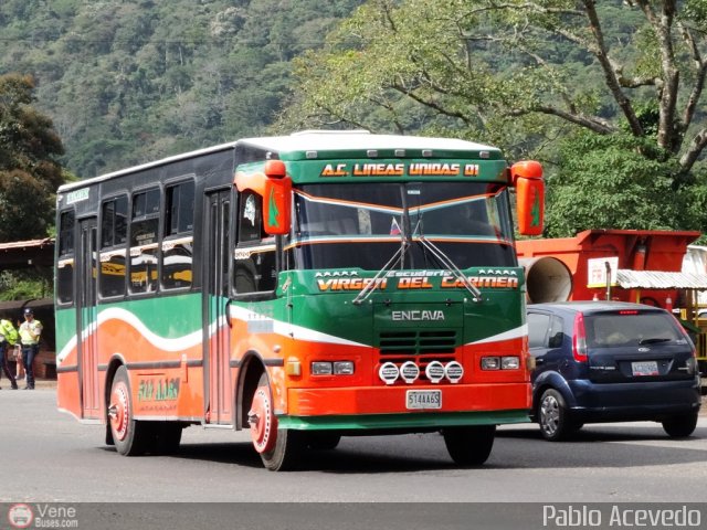 A.C. L�neas Unidas 01 por Pablo Acevedo