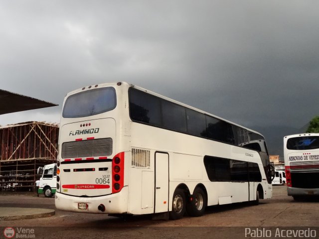 Expresos Flamingo 0064 por Pablo Acevedo