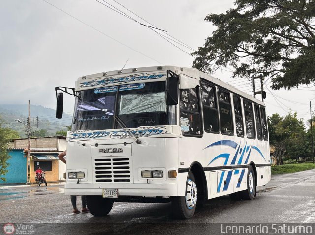 S.C. L�nea Transporte Expresos Del Chama 203 por Leonardo Saturno
