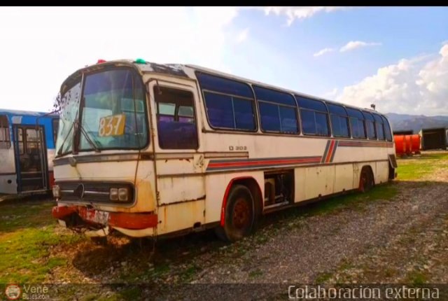 En Chiveras Abandonados Recuperaci�n 837 por Mois�s Silva Colombo