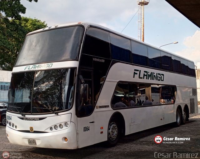 Expresos Flamingo 0064 por Csar Ramrez