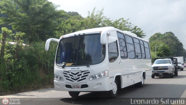 Particular o Desconocido 02 por Leonardo Saturno