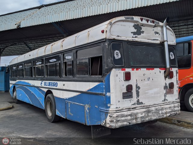 Transmara II El Moj�n 12 por Sebasti�n Mercado