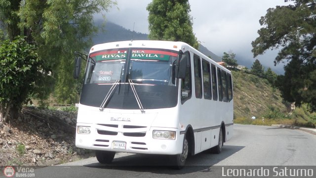 L�nea Rivas D�vila 0013 por Leonardo Saturno