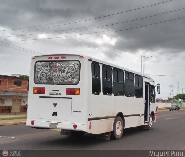 A.C.C. Caicara Amazonas 079 por Miguel Pino