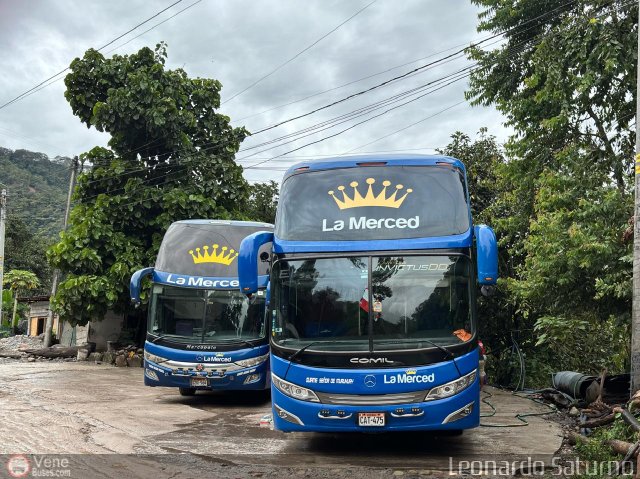 Garajes Paradas y Terminales La merced  por Leonardo Saturno
