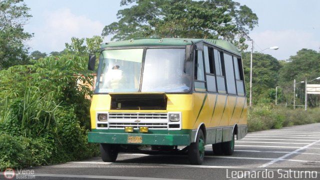 Particular o Desconocido 02 por Leonardo Saturno