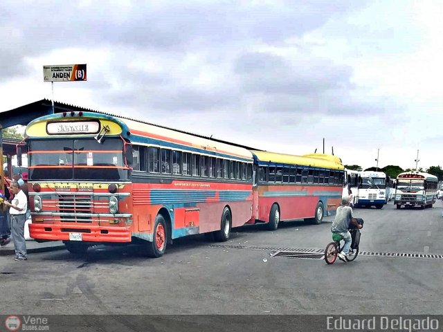 L�nea Sanare 13 por Eduard Delgado