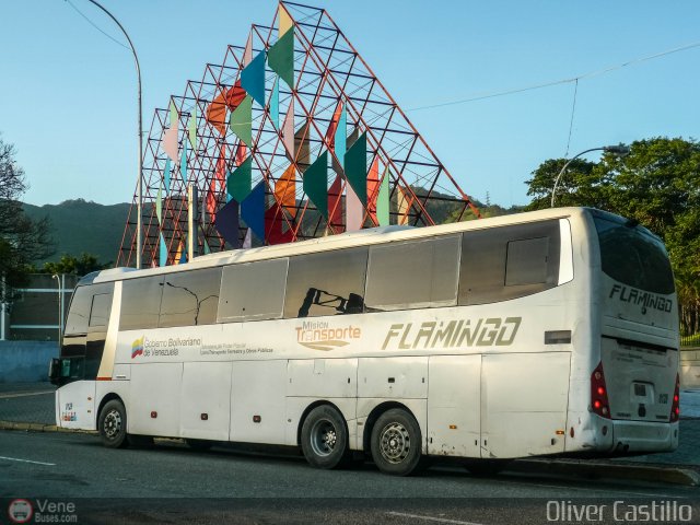 Expresos Flamingo 0128 por Oliver Castillo