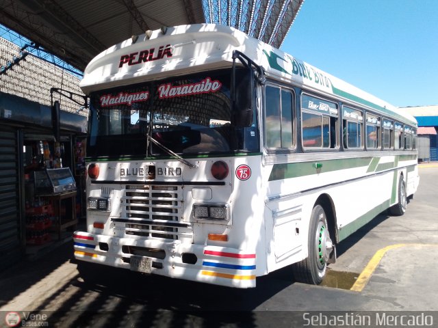 Colectivos Perij� 15 por Sebasti�n Mercado