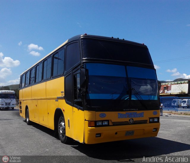 Transporte Nueva Generaci�n 0024 por Andr�s Ascanio