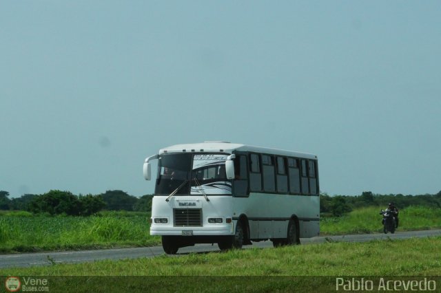 Particular o Desconocido 042 por Pablo Acevedo