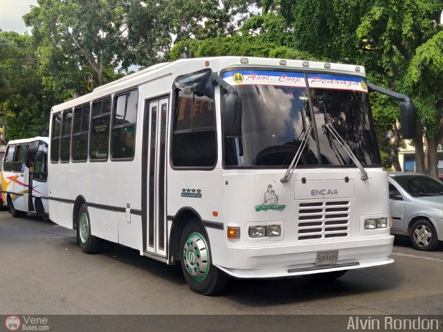 A.C. Pedraza 016 por Alvin Rond�n