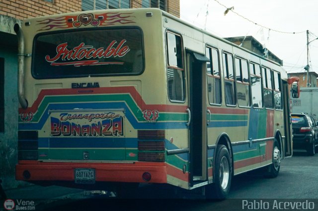 Transporte Bonanza 0001 por Pablo Acevedo