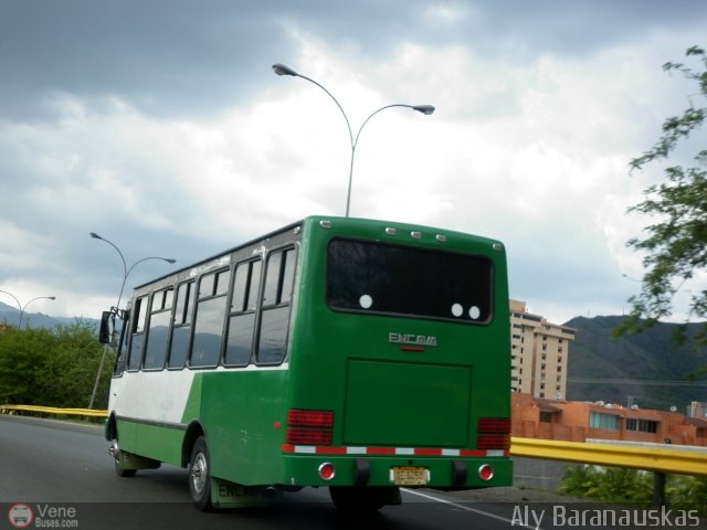 Particular NO USAR M�S 60 por Aly Baranauskas