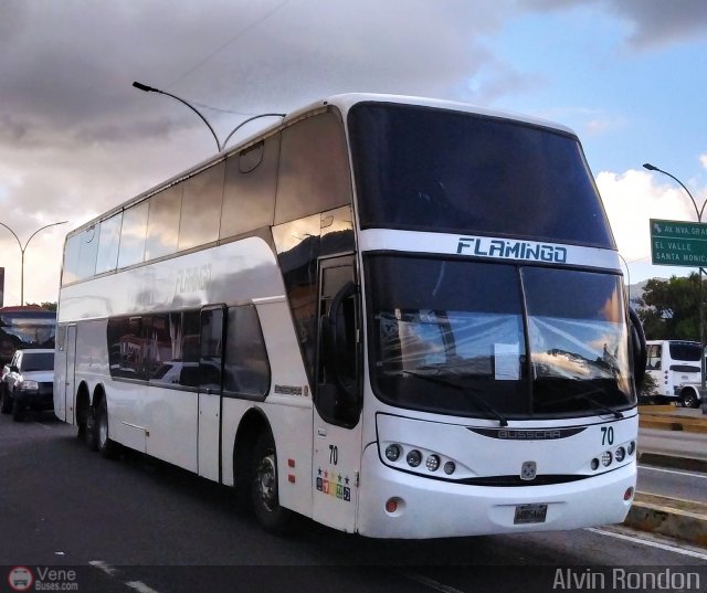 Expresos Flamingo 0070 por Alvin Rond�n