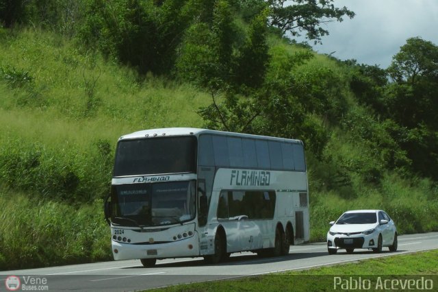 Expresos Flamingo 2024 por Pablo Acevedo