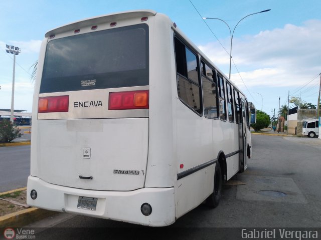 Organizaci�n Guaicamacuto 226 por Gabriel Vergara