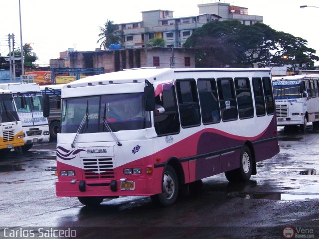Unin Victoria 19 por Carlos Salcedo