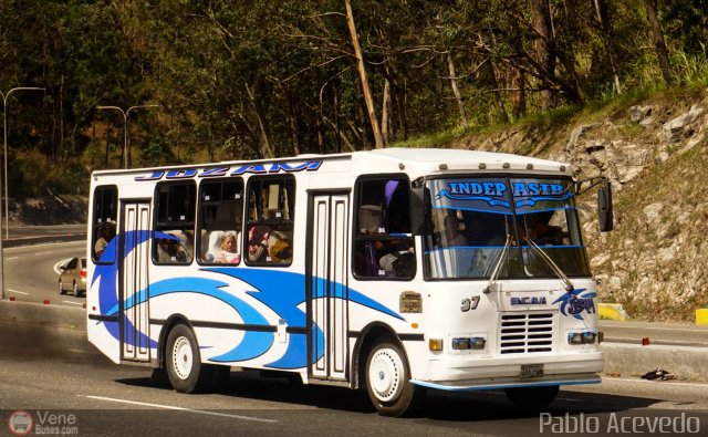 A.C. Indepasib 037 por Pablo Acevedo