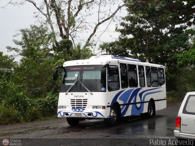 A.C. Expresos Barinas 013 por Pablo Acevedo