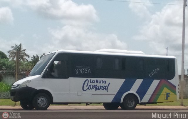 Uso Oficial 025 por Miguel Pino