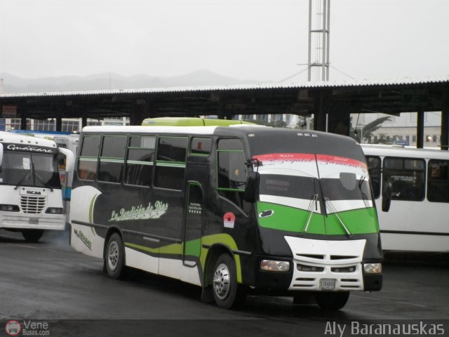 Asociaci�n Cooperativa R.S. Ezequiel Zamora 29 por Aly Baranauskas