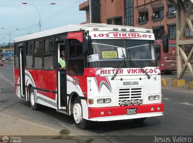 A.C. de Transporte La Raiza 079 por Jesús Valero