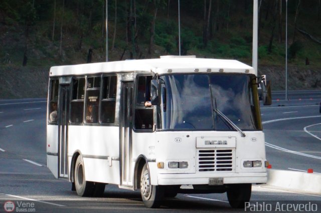 A.C. de Transporte N�mero Uno R.L. 021 por Pablo Acevedo
