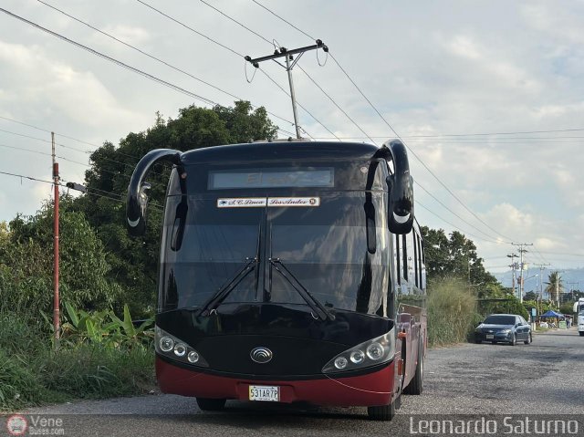 L�nea Los Andes S.C. 015 por Leonardo Saturno