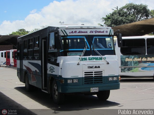 L�nea El Pi�al A.C. 01 por Pablo Acevedo