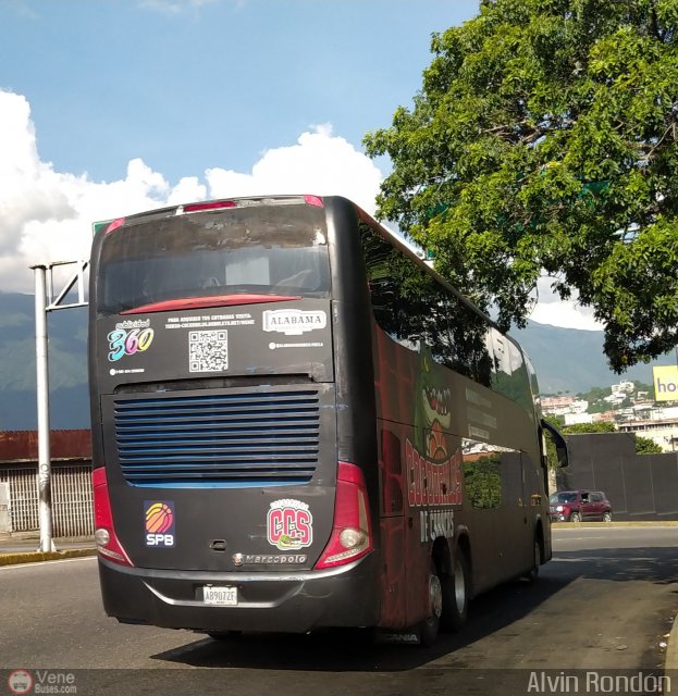 Cocodrilos de Caracas BBC 01 por Alvin Rond�n