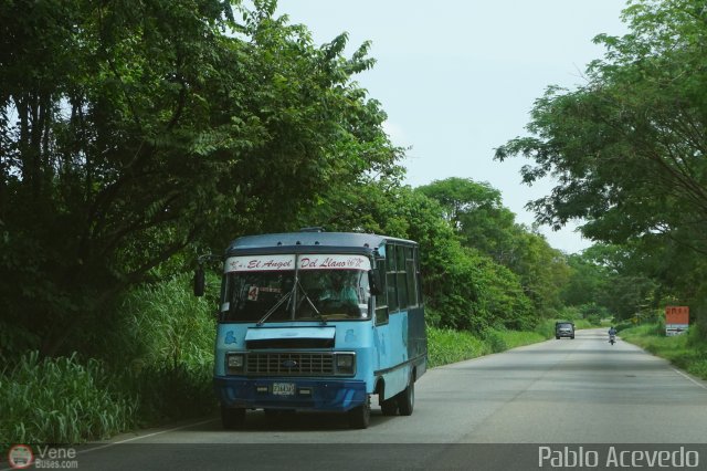 A.C. Cond. por Puesto El Angel del Llano 16 por Pablo Acevedo