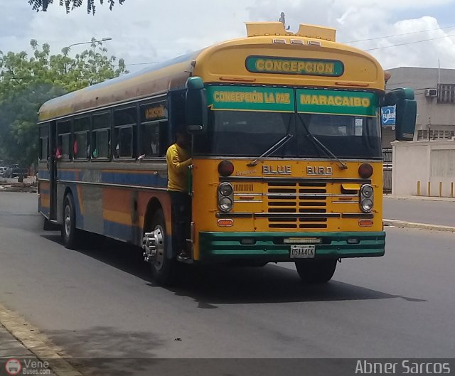 ZU - Colectivos Concepci�n 095 por Abner Sarcos
