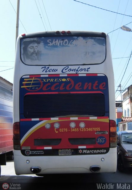 Expresos Occidente 365 por Waldir Mata