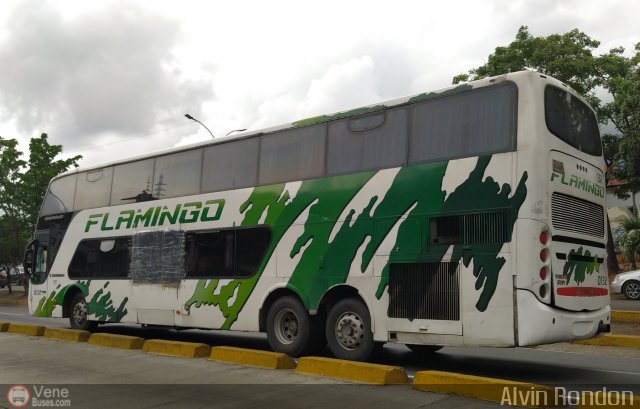Expresos Flamingo 0132 por Alvin Rond�n