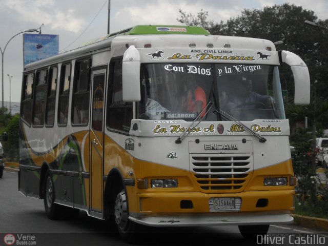 A.C. Línea La Pascua 079 por Oliver Castillo