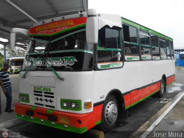 A.C. L�nea Mariscal 48 por Jos� Mora