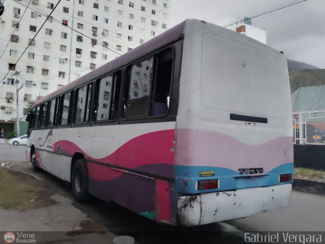 Organizaci�n Guaicamacuto 381 por Gabriel Vergara