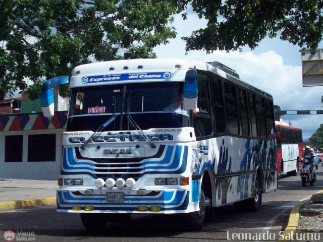 S.C. Lnea Transporte Expresos Del Chama 089. por Leonardo Saturno