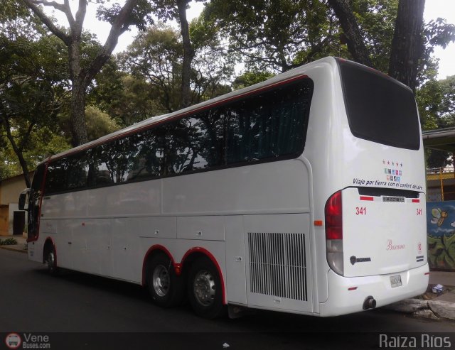 Particular o Desconocido 0341 por Waldir Mata